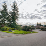 8582_Sentinel-New-Shoot-1